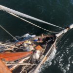 Pacific Swift Top of Rigging